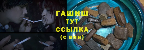 мдпв Богородицк