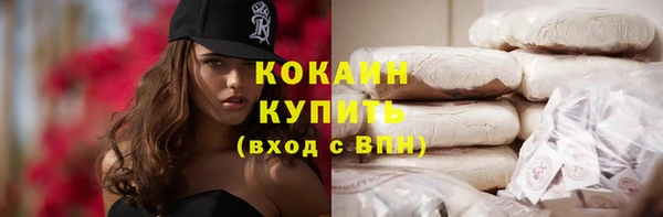 метадон Богданович