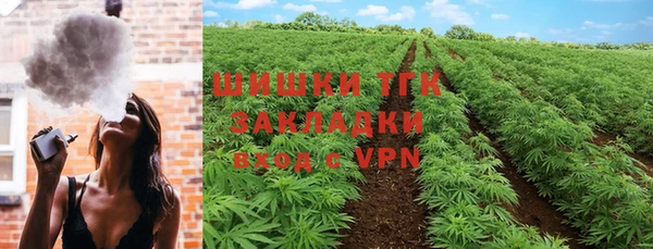 мдпв Богородицк