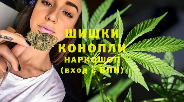 метадон Богданович